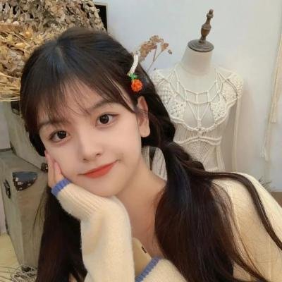 39号特案